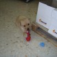 me han dado un regalitoo!!!